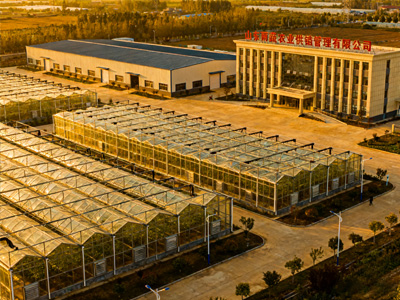 山东雨蔬农业公司风貌